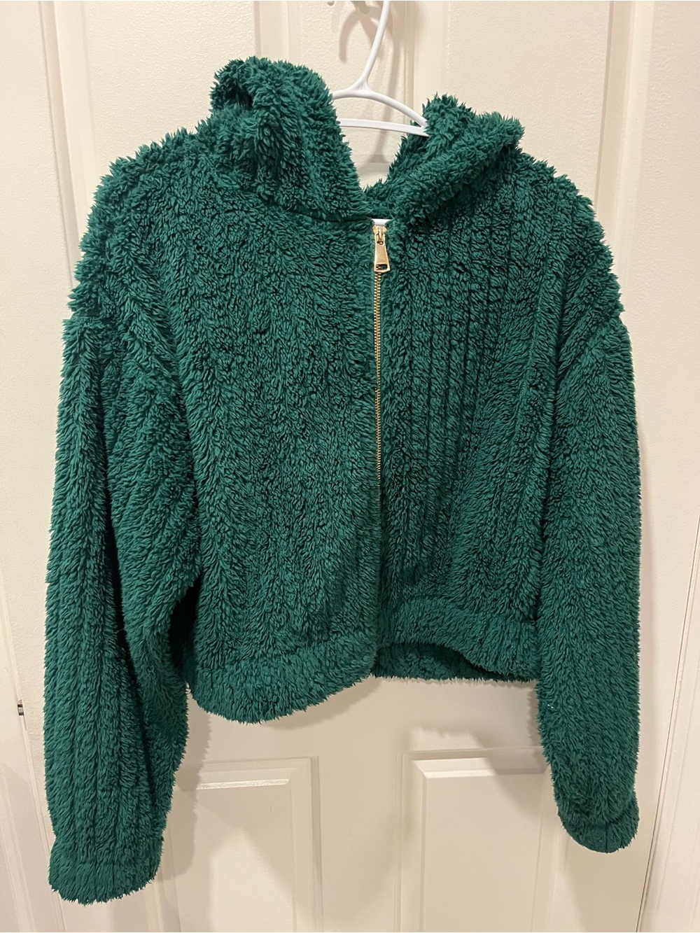 Cozy Plush Forest Green Hooded Zip Jacket